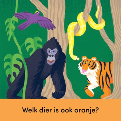 Ik zie, ik zie kleur