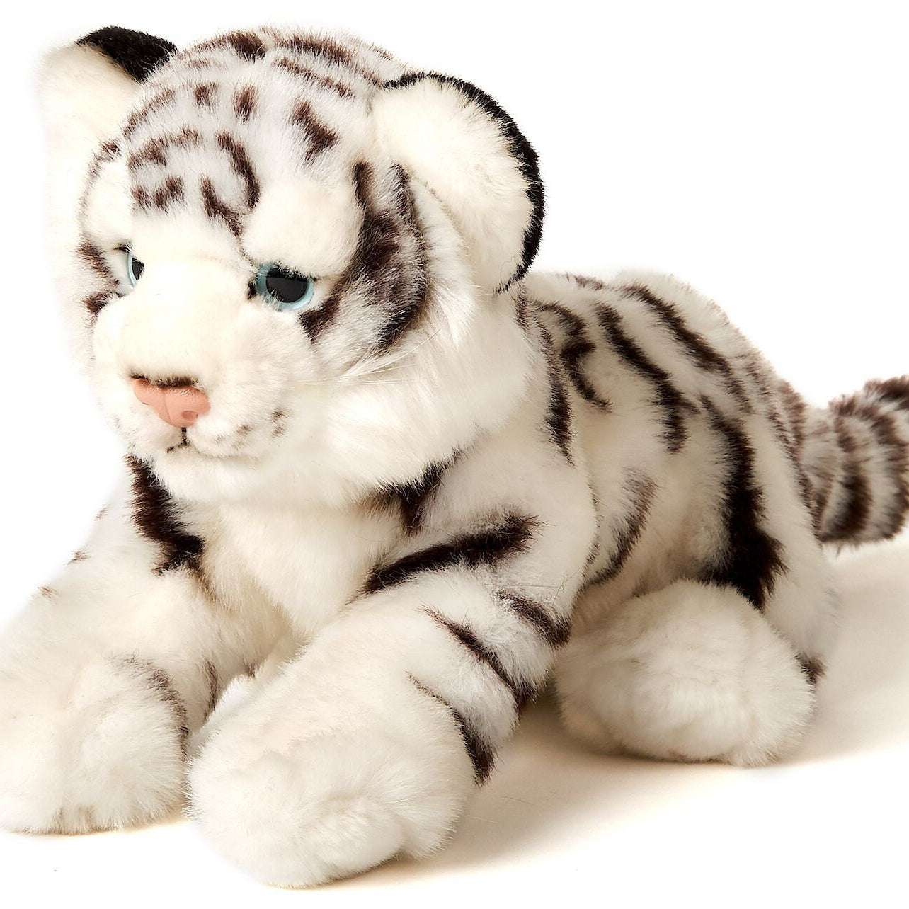White Tiger baby
