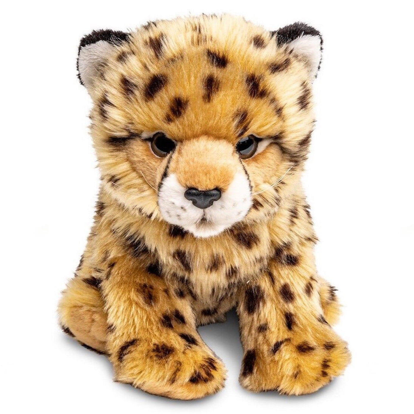 Cheetah cub