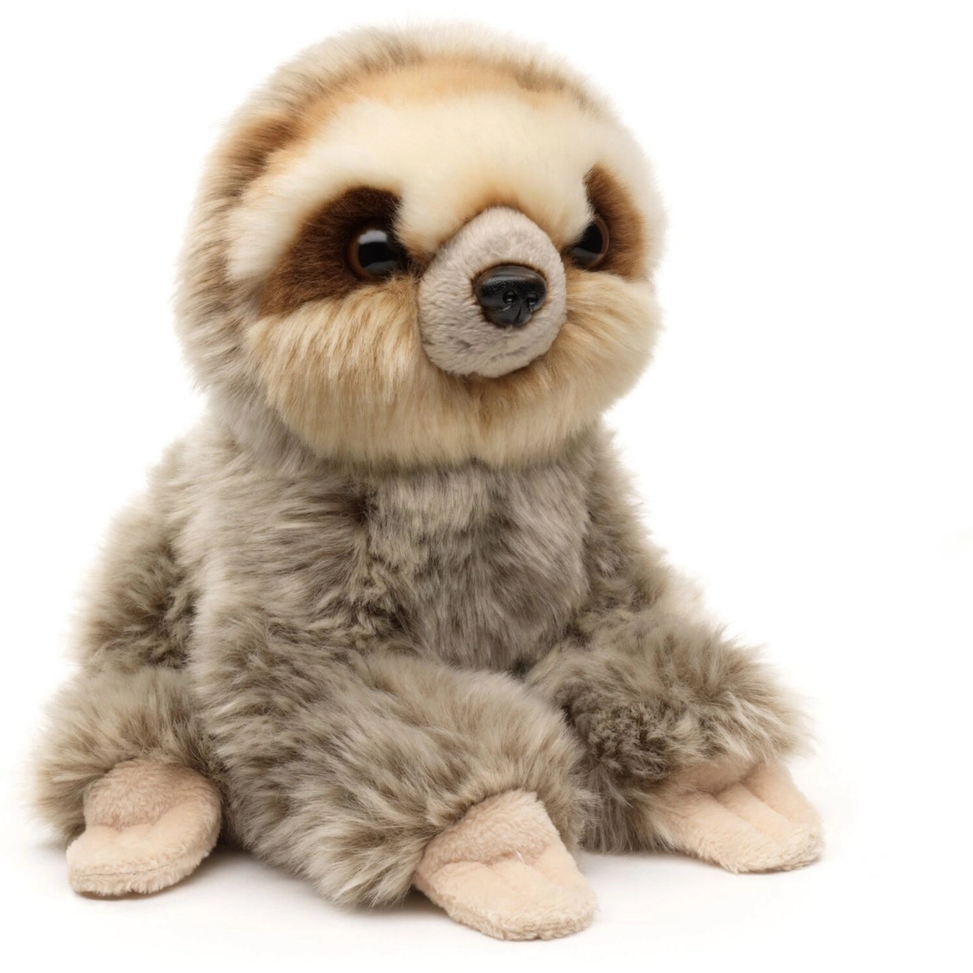 Sloth