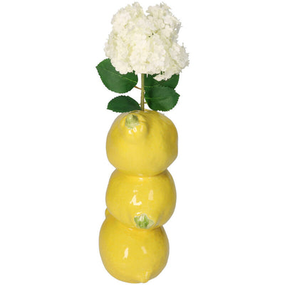 Vase Lemons